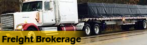 Freight Truck - Shipping Company